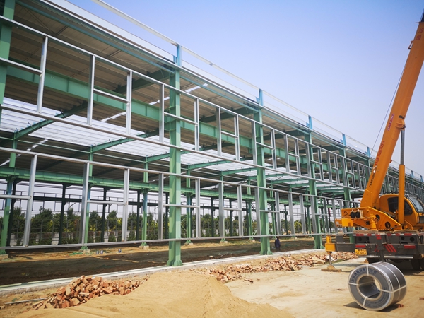 山東乾鋼金屬科技有限公司二期鋼結構工程