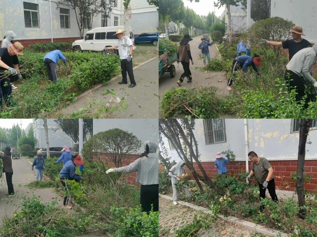 【魯南電商】共建美麗園區(qū)，我們在行動！