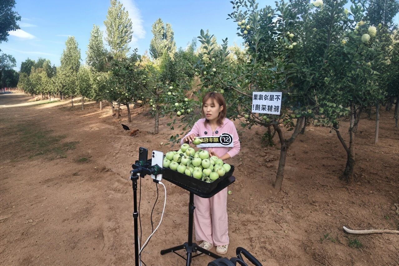 決戰(zhàn)四季度，圣家樂購雙十一全域發(fā)力促增長2